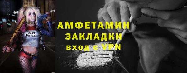 молекула духа Богородицк
