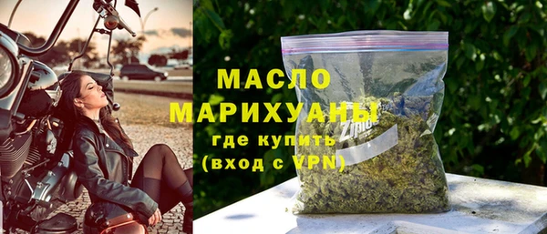 молекула духа Богородицк