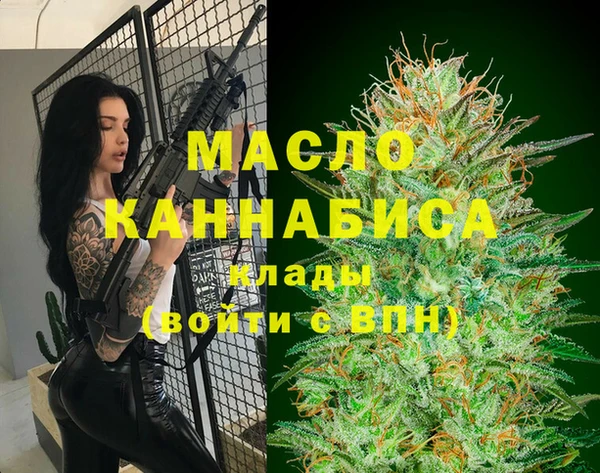 МДПВ Богородск