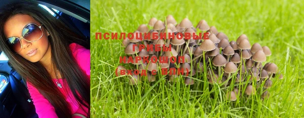 прущие крисы Богданович