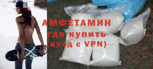 молекула духа Богородицк