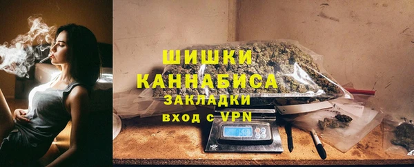 МДПВ Богородск