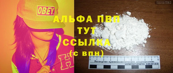 молекула духа Богородицк