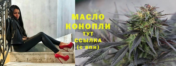 молекула духа Богородицк