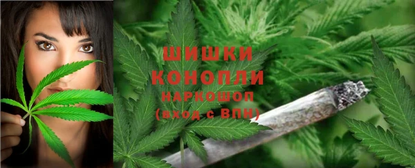 МДПВ Богородск