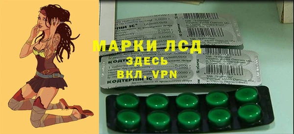 молекула духа Богородицк